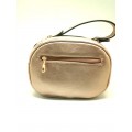 Champagne Gold  Double Zipped Cross Body Bag